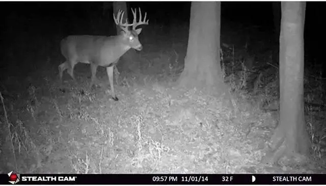 Alt view image 6 of 7 - STEALTH CAM STC-G30 G30 8.0 Megapixel 80ft Scouting Camera