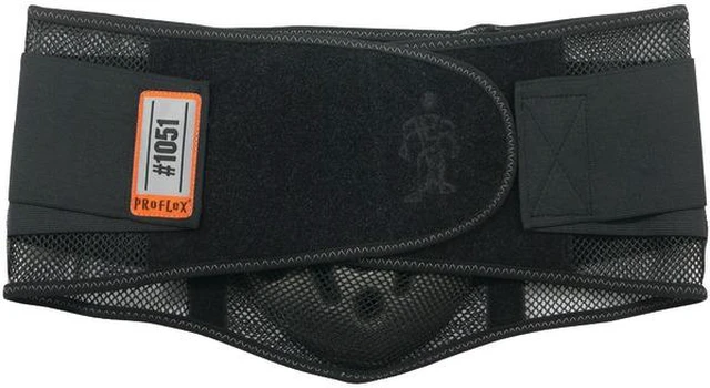 Main image of ERGODYNE 20187 Proflex Mesh Back Support W/Lumbar Pad 2Xl