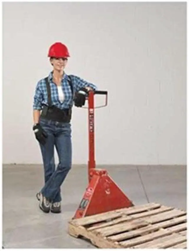 Main image of VALEO VI4675LGWWGL Back Support,Elastic,L