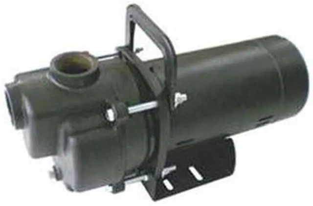 Main image of DAYTON 4YKP5 Centrifugal Pump, 1/3 hp, 115/230V AC, 1 Phase, 32 ft Max Head