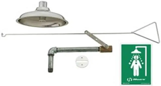 Main image of HAWS 8169 Emergency Shower,Flush Ceiling,20 gpm