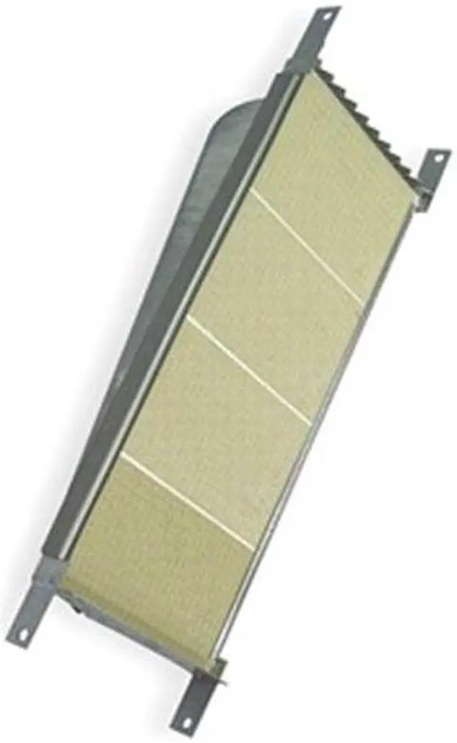 Main image of High Intensity Rayhead
