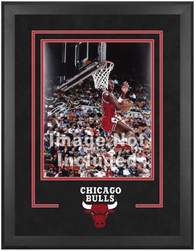 Main image of Chicago Bulls 16" x 20" Vertical Setup Frame with Team Logo - -Item #120703
