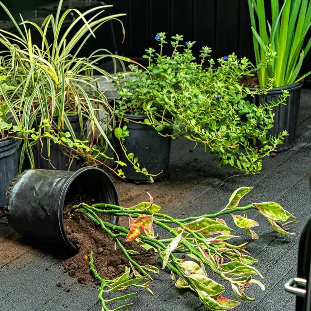 Alt view image 4 of 4 - SMARTLINER All Weather Custom Fit Black Cargo Liner Behind the 3rd Row Compatible With 2023-2024 Jeep Grand Wagoneer L