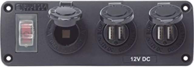 Alt view image 5 of 16 - Exterior Panel, 12VDC Socket & Two USBs