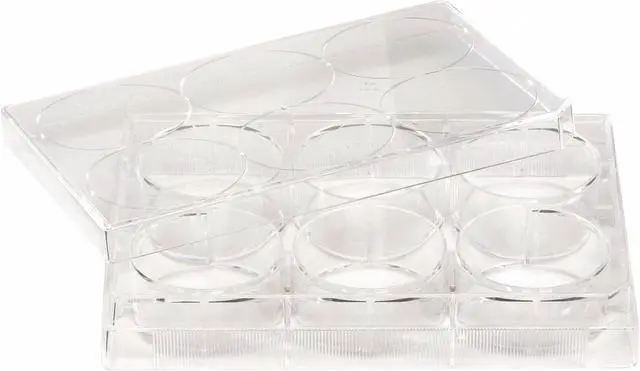 Alt view image 2 of 2 - ZORO SELECT 667105 6 Well Tissue Culture Plate w/Lid,PK50 (Formerly Lab Safety