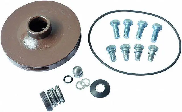 Alt view image 2 of 2 - DAYTON 21TH19 Pump Repair Kit,For 2ZXJ5,2ZXJ6