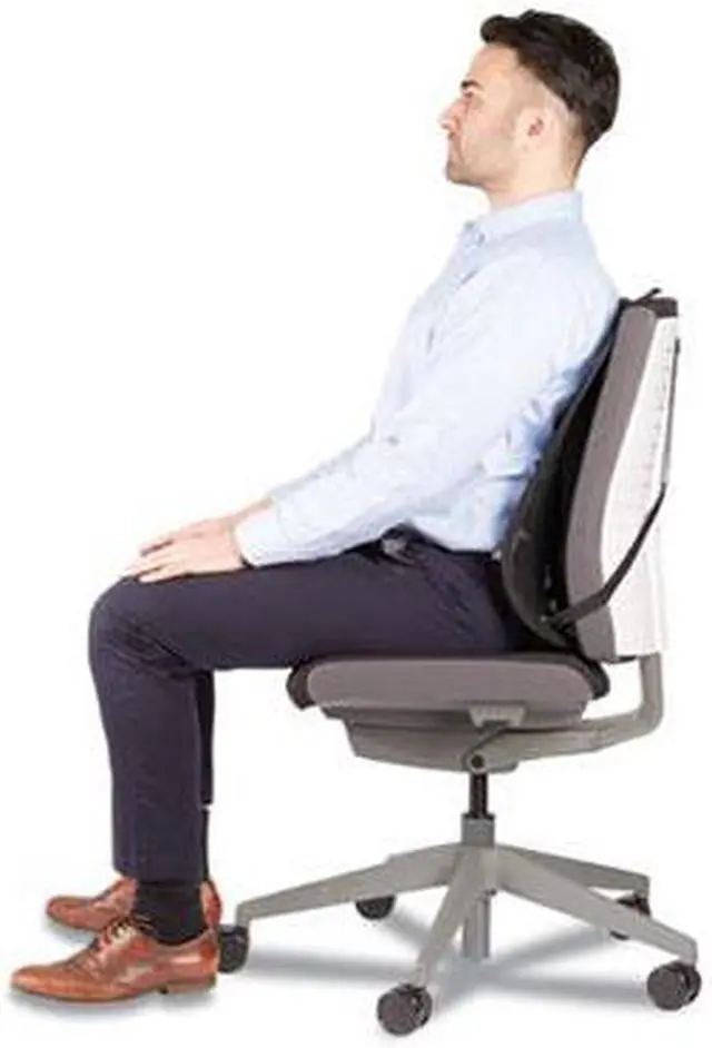Alt view image 7 of 20 - Fellowes 9191301 Office Suites Mesh Back Support - Black