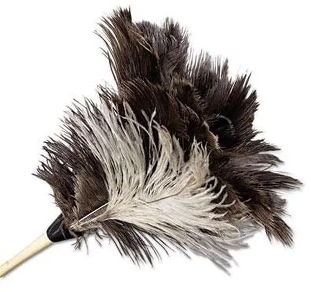 Alt view image 12 of 20 - Boardwalk Professional Ostrich Feather Duster 7" Handle 13FD