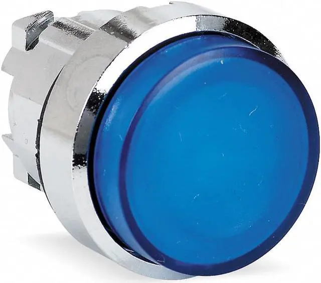 Alt view image 2 of 2 - Pushbutton, Blue, 22 Mm