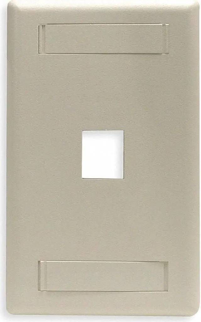 Main image of PLATE, WALL, FLUSH,1-G,1PORT,EI