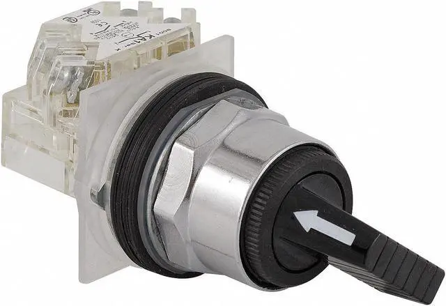 Main image of SCHNEIDER ELECTRIC 9001KS11FBH2 Non-Illum Selector Switch,2NO/2NC,30mm