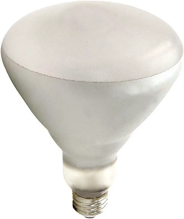 Main image of SHAT-R-SHIELD 125BR40/1 SHAT-R-SHIELD 125W, BR40 Incandescent Light Bulb