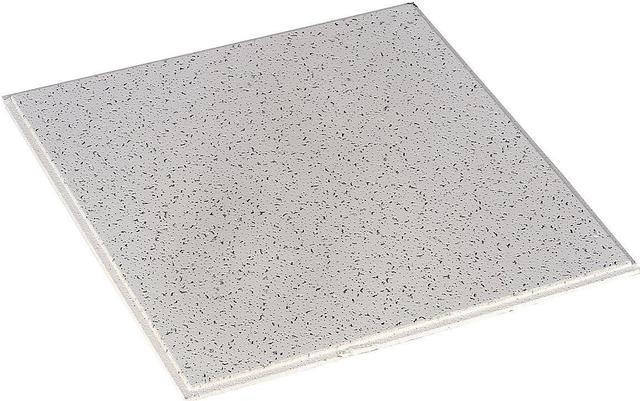 24 Lx24 W Acoustical Ceiling Tile