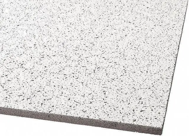 Main image of Armstrong Ceiling Tile, 24" Width, 24" Length, 5/8" Thickness, Mineral Fiber 824