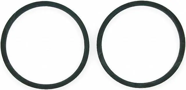 Main image of BELL & GOSSETT 118129 Gasket, Flange,PK2