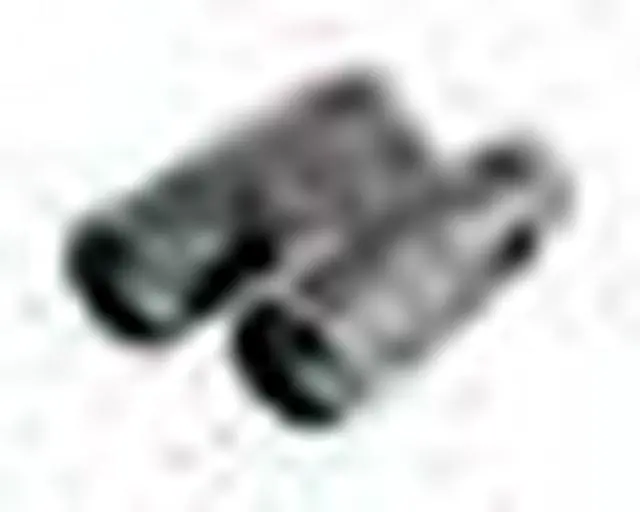 Main image of Brunton ETERNA 11X45 F-E1145 Full-size Binocular