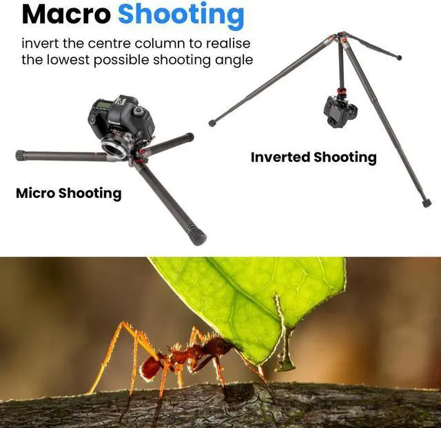 Alt view image 6 of 7 - Compact Carbon Fiber Tripod w/ 2-Way Ball Head, 13 lb Load Capacity, Adjustable Height (5 to 51.1"), 14.5" Folded Length, 5-Section Twist Lock Legs, Lightweight Travel Tripod for Photography by Oben