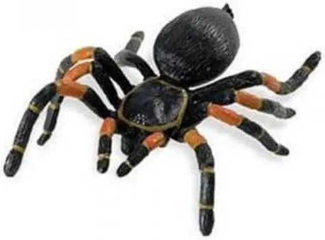 Main image of Orange-Kneed Tarantula