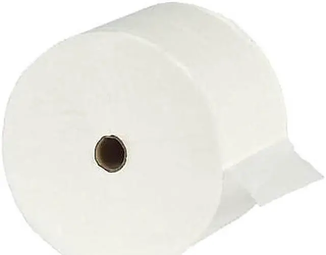 Main image of American Paper Recycled Two-Ply Toilet Paper Septic Safe 24 Roll/Ctn EB15725