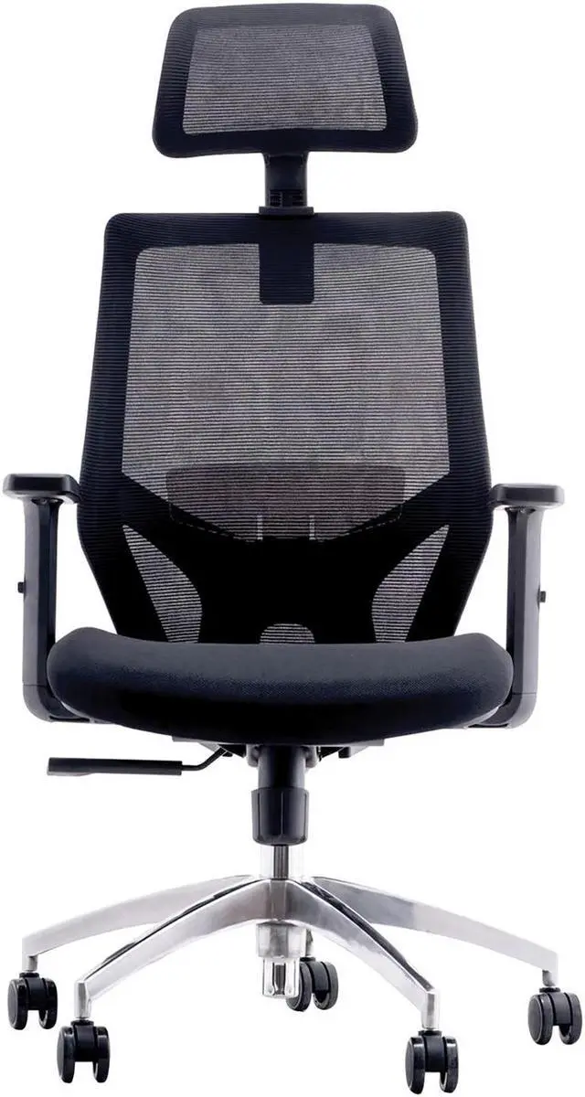 Main image of ERGO ADJUSTABLE OFFICE CHAIR WITH BACK SUP