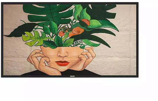 Main image of