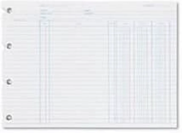 Wilson Jones Balance Ledger Columnar Sheet 7.50