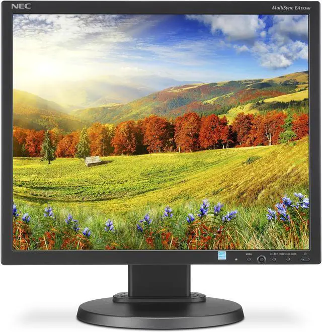 Main image of NEC Display MultiSync EA193MI-BK 19" Professional IPS Integrated Speaker 1280 x 1024 5:4 Monitor with 6ms response rate, 1000:1 contrast, DisplayPort, DVI-D, VGA