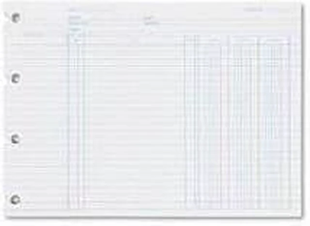Wilson Jones Balance Ledger Columnar Sheet 7.50