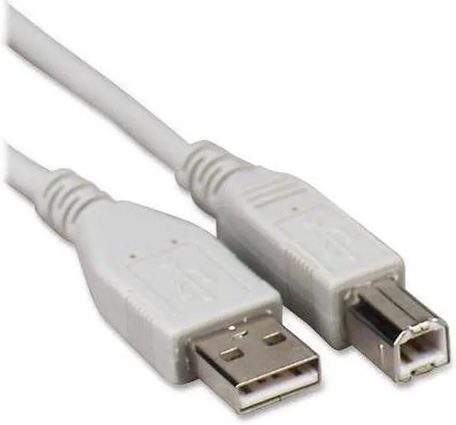 Main image of Compucessory A-B USB Cable 1 EA