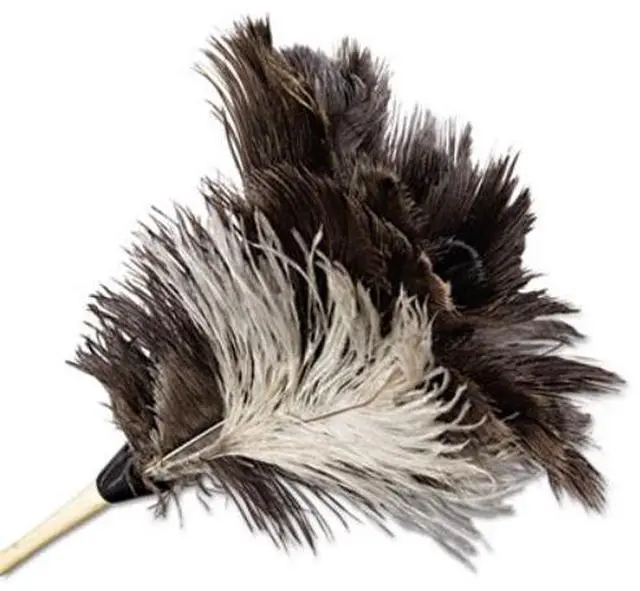 Alt view image 3 of 20 - Boardwalk Professional Ostrich Feather Duster 7" Handle 13FD
