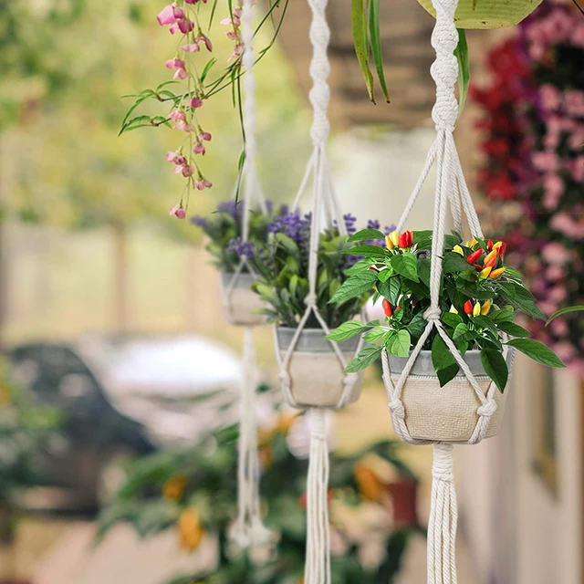 Alt view image 7 of 7 - Macrame Plant Hanger 3 Pack with Hooks Cotton Rope Hanging Planters