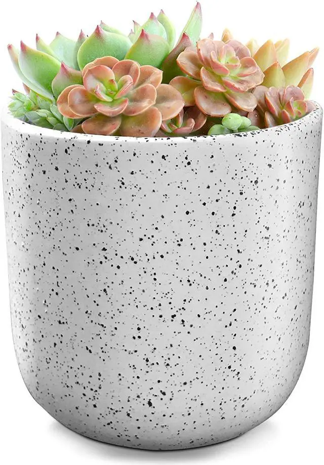 Alt view image 7 of 7 - Flower Plant Pots Planter Ceramic For Succulents Plants, White, 4.75"H x 4.75"W
