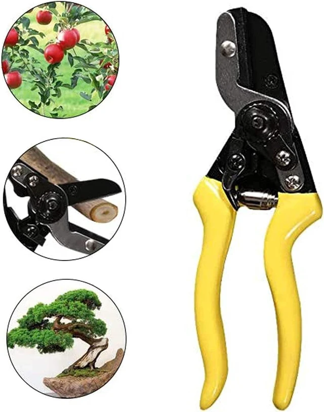 Alt view image 7 of 7 - Professional SK-5 Handle 8" Garden Pruning Shears Clippers Scissors Cutter