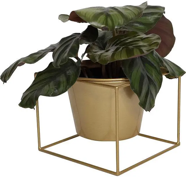 Alt view image 3 of 7 - Metal Square Flower Plant Pot with Stand 6" Indoor Modern Planter Pot - Gold