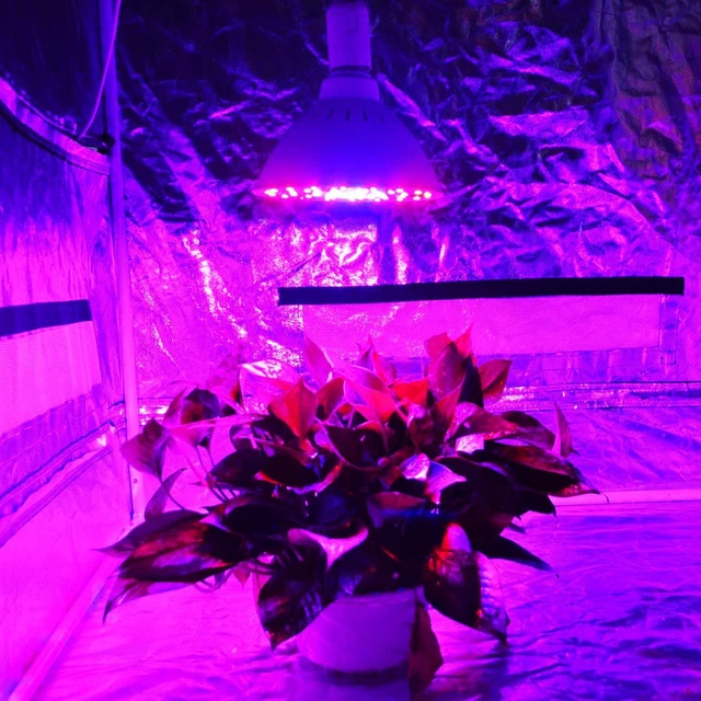 Alt view image 4 of 7 - 20W PAR56 LED Full Spectrum Grow Light Bulb Indoor Outdoor Herbs Plants 6500K