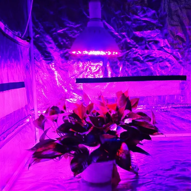 Alt view image 4 of 7 - 20W PAR56 LED Full Spectrum Grow Light Bulb Indoor Outdoor Herbs Plants 6500K
