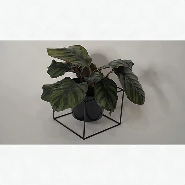Alt view image 4 of 7 - Metal Square Flower Plant Pot with Stand 6" Indoor Modern Planter - Black