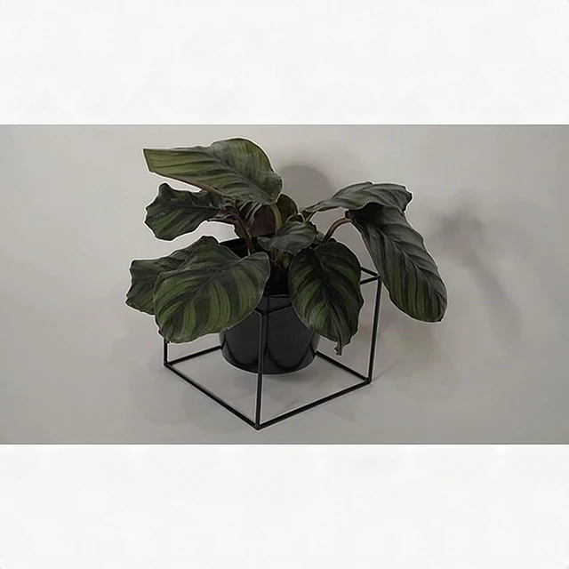 Alt view image 4 of 7 - Metal Square 6" Plant Pot Stand Holder Removable Planter Black Metal 2 Pack New