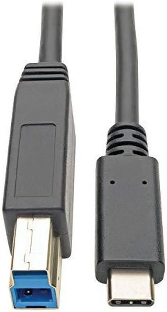 Alt view image 12 of 12 - Tripp Lite U422-006 USB Type-C to USB Type-B Cable, 6 ft.