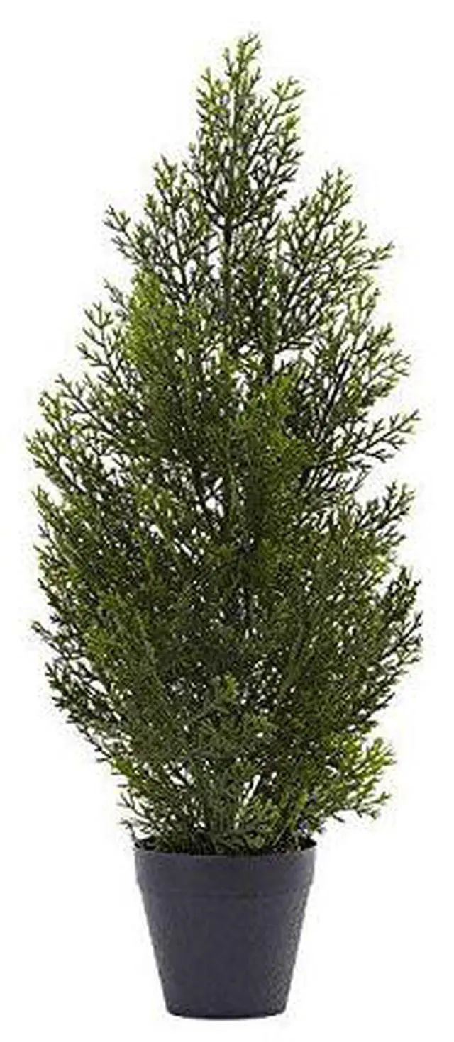 Alt view image 3 of 4 - Nearly Natural 5469 2 ft. Mini Cedar Pine Tree - Indoor & Outdoor