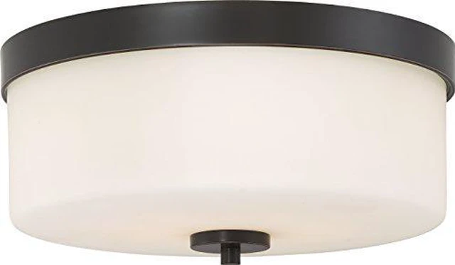 Main image of NUVO 60/6331 Two Light Flush Mount, 2, Bronze/Dark