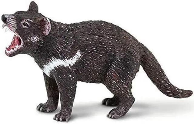 Alt view image 3 of 3 - Safari Ltd. Wild Safari Wildlife - Tasmanian Devil - Quality construction from Phthalate, Lead and BPA Free Materials - for Ages 3 and Up