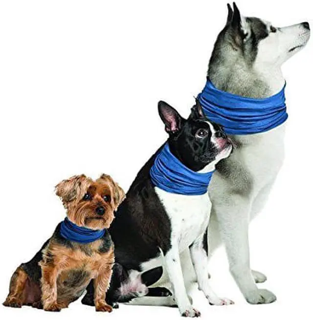 Main image of Novel Brands K9 Chill Dog Cooling Collar (Small/Medium 8"- 20")