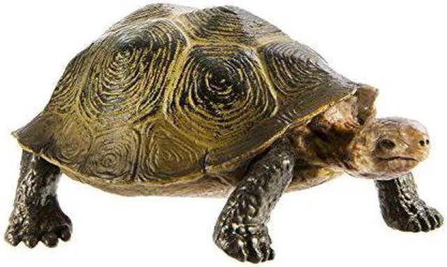 Alt view image 6 of 6 - Safari: Desert Toroise