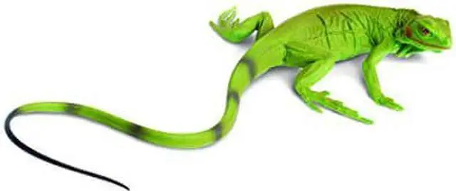 Alt view image 8 of 8 - Safari Incredible Creatures - Iguana Baby