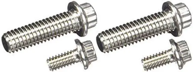 Main image of ARP 4301601 Stainless 300 12-Point Fuel Pump Bolt Kit