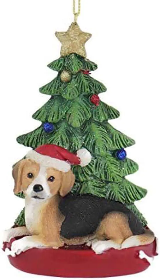 Main image of Kurt Adler Beagle Wearing Santa Hat with Christmas Tree Ornament C7954BE New