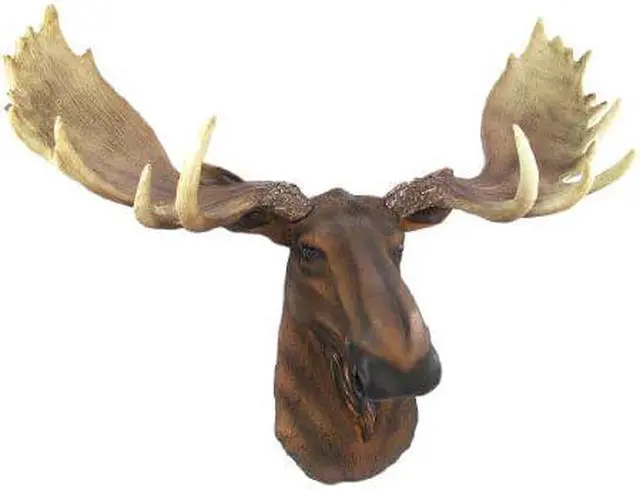Alt view image 6 of 7 - North American Moose Head Bust Wall Hanging
