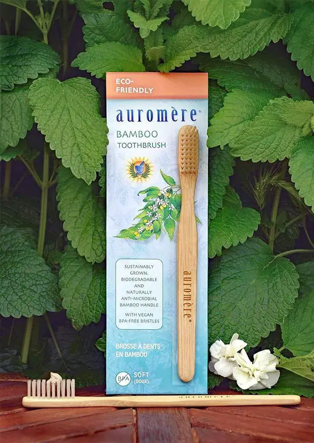 Alt view image 3 of 5 - Bamboo Toothbrush - Eco Friendly, Vegan, Sustainably Grown, with Soft Bristles (1 Pack)